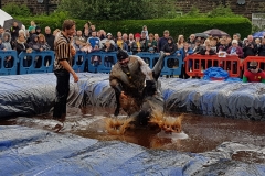 Gravy Wrestling 2018 - Fat Man and the All Black Pudding 2