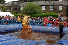 Gravy Wrestling 2018 - Golden Balls and the Bisto Beast 6